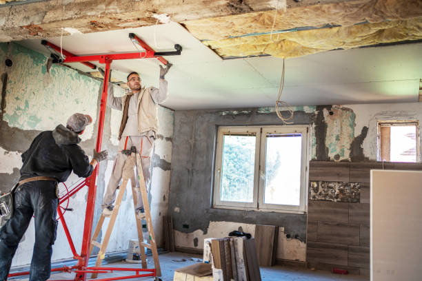 Best Cellulose Insulation in Medulla, FL